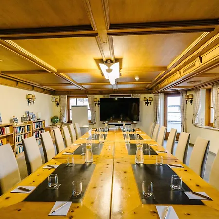 Seven Alpina Boutique 4* Klosters